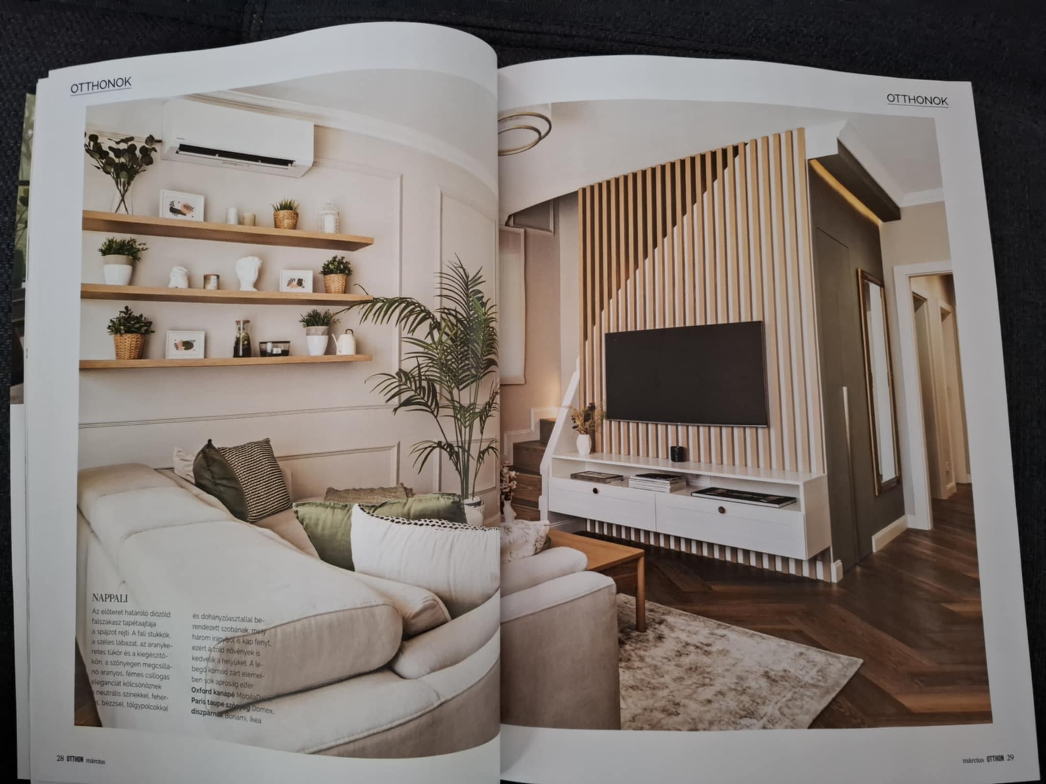 BELLE HOME